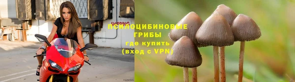 марки lsd Бородино